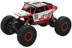 R/C Monster Car for Kids