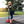BAYBEE Smart Kick Skate Scooter 3 Wheel Runner Scooter For Kids